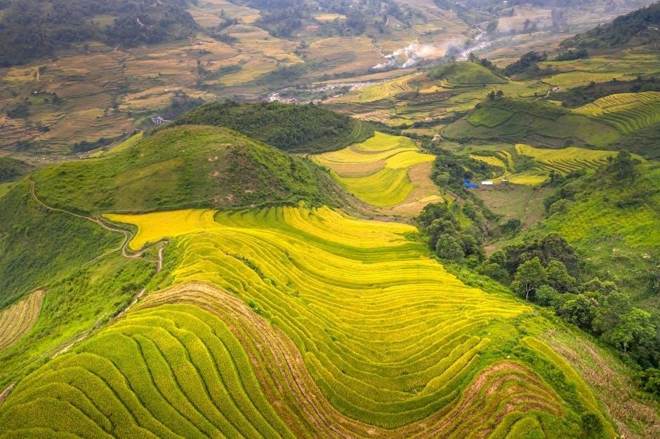 piense y hagase rico pdf