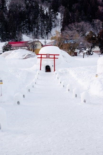 igloo ice machine manual