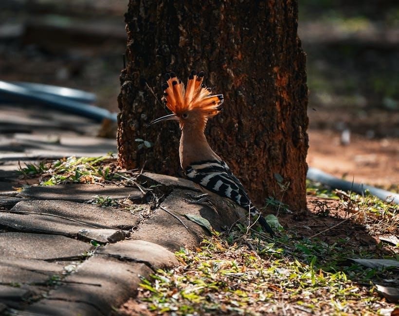 the creative act: a way of being pdf free download