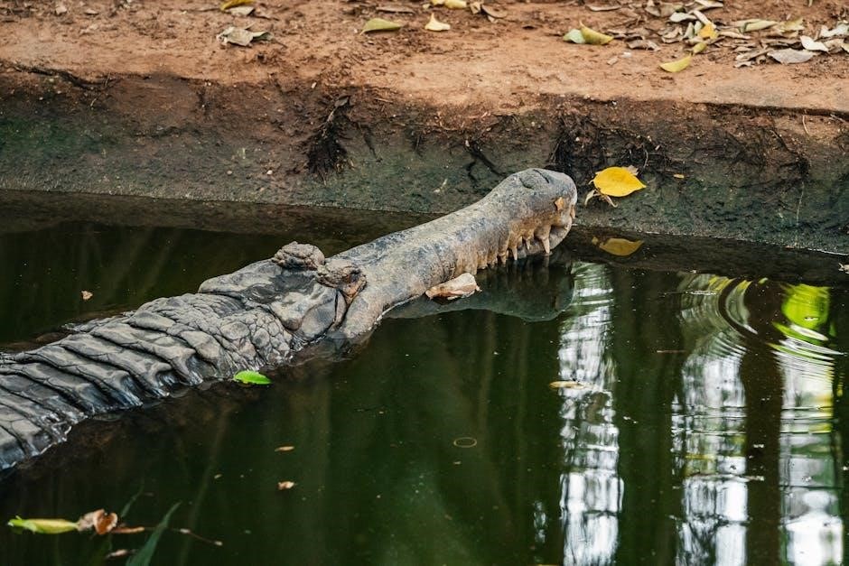 dr trimmer manual pdf free download