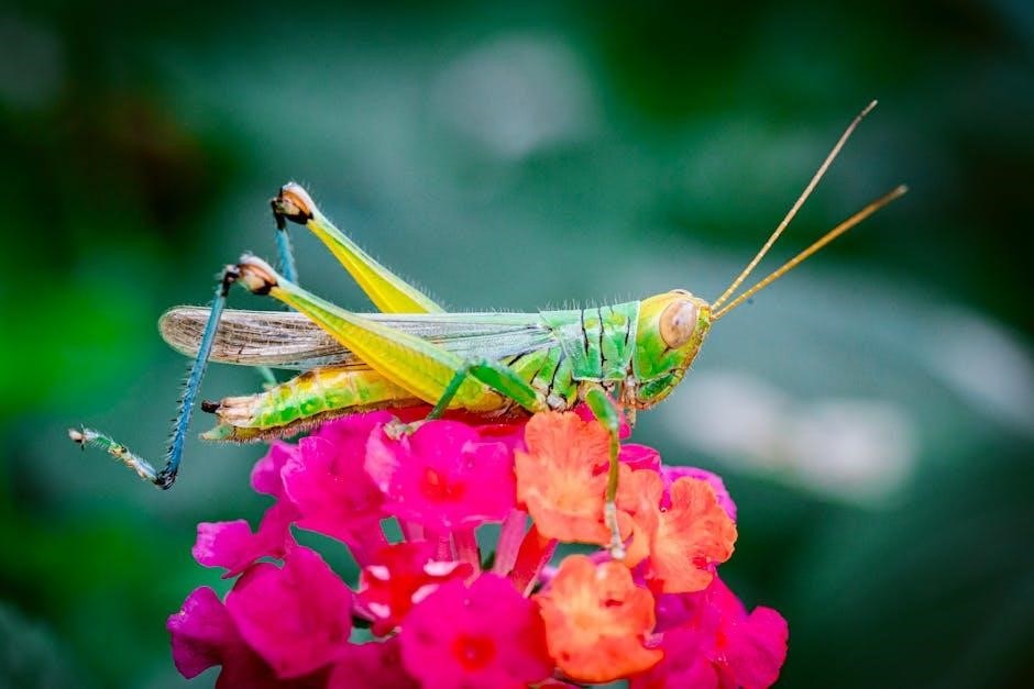 the compound effect worksheets pdf