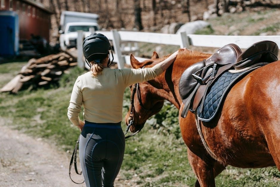 horse riding helmet size guide