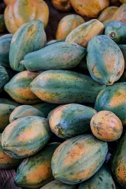 dr hyman 10 day detox diet pdf